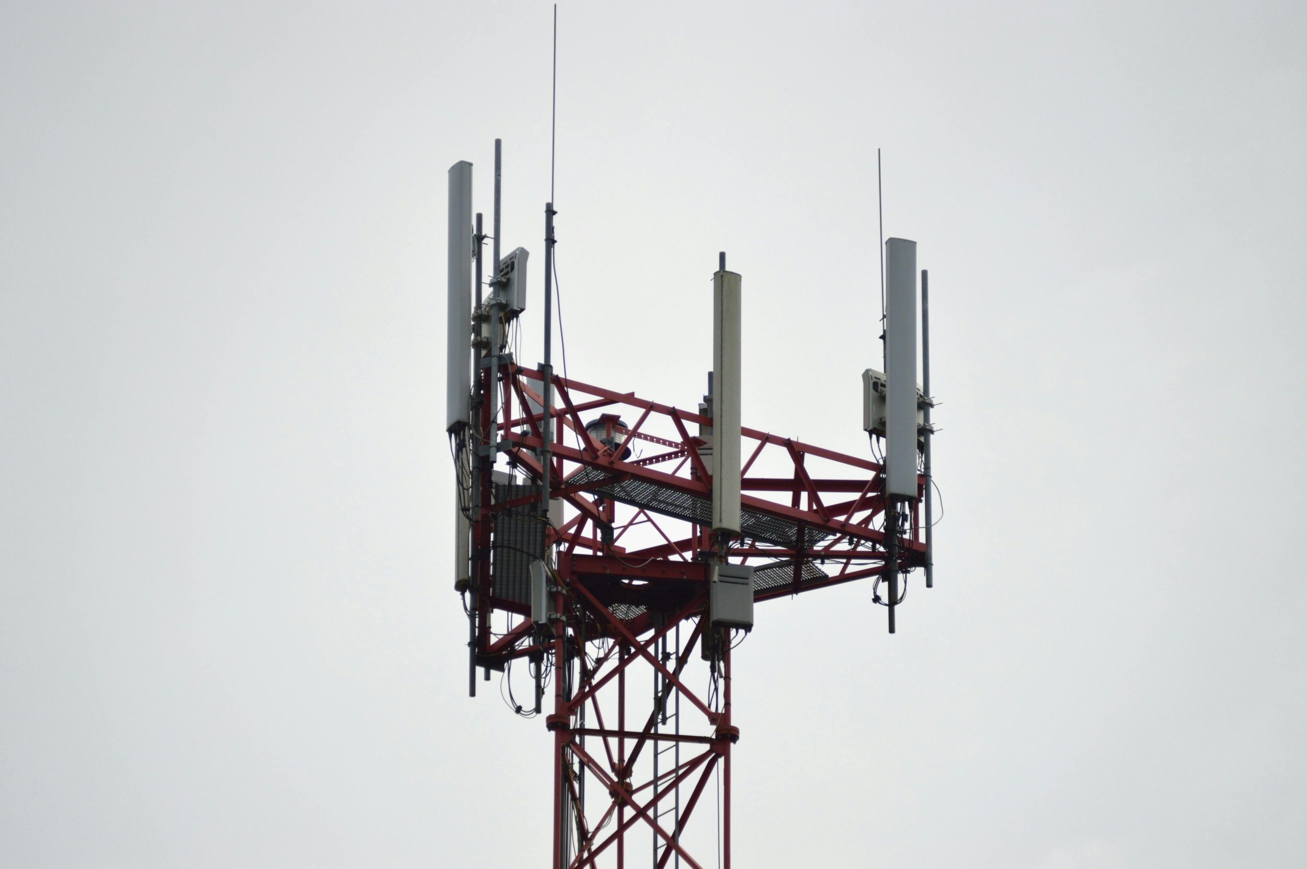 In wake of net neutrality decision, should cities build internet networks? Many cities seeking to offer cheap service to the community, despite telecom industry pushback
