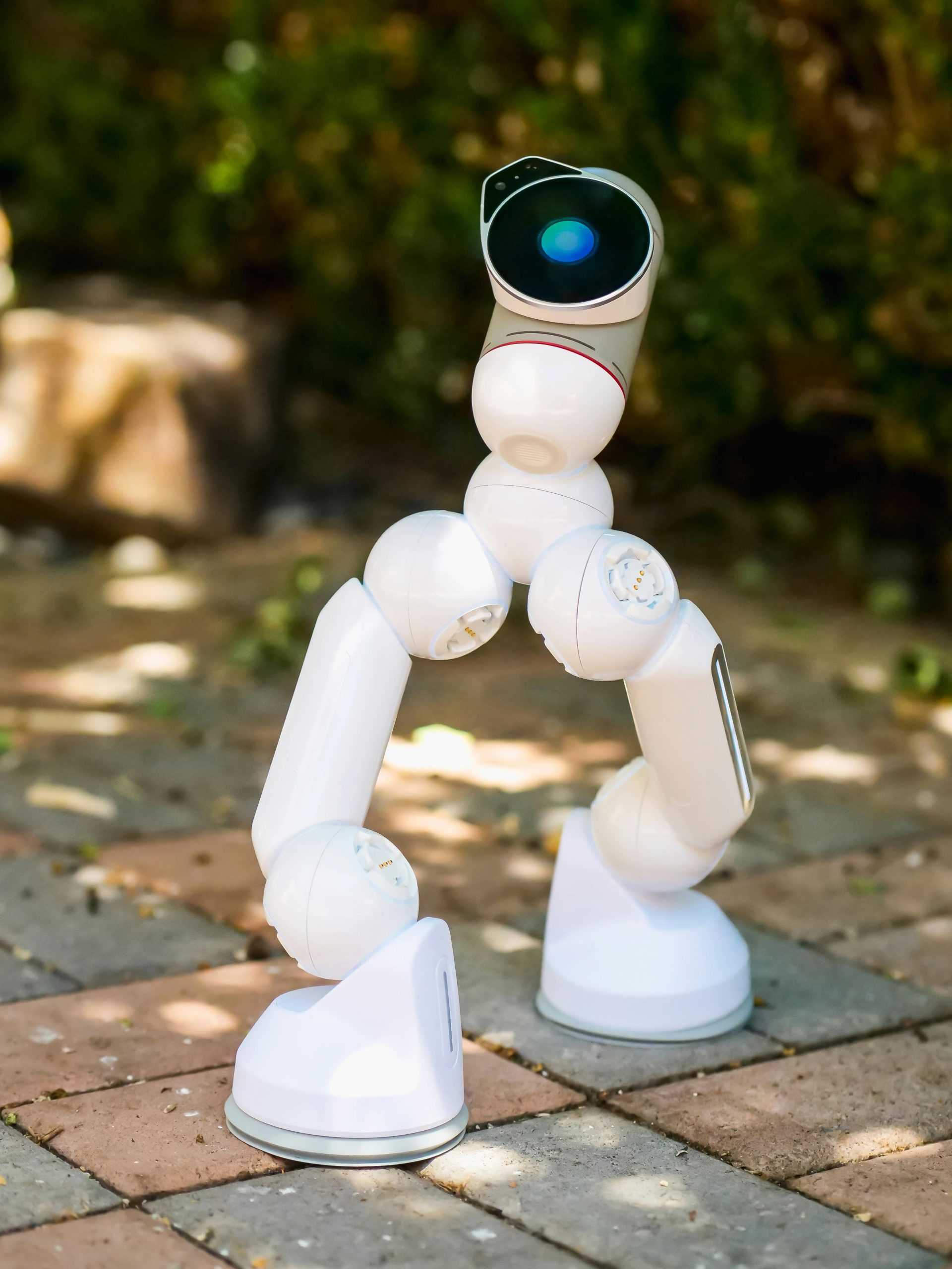 If machine learning engineers and researchers want to democratize AI, they only have to change the way they personify its processes.